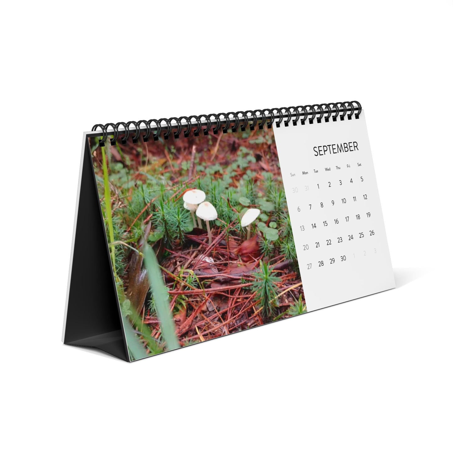 Nature-Inspired Desktop Calendar 2026