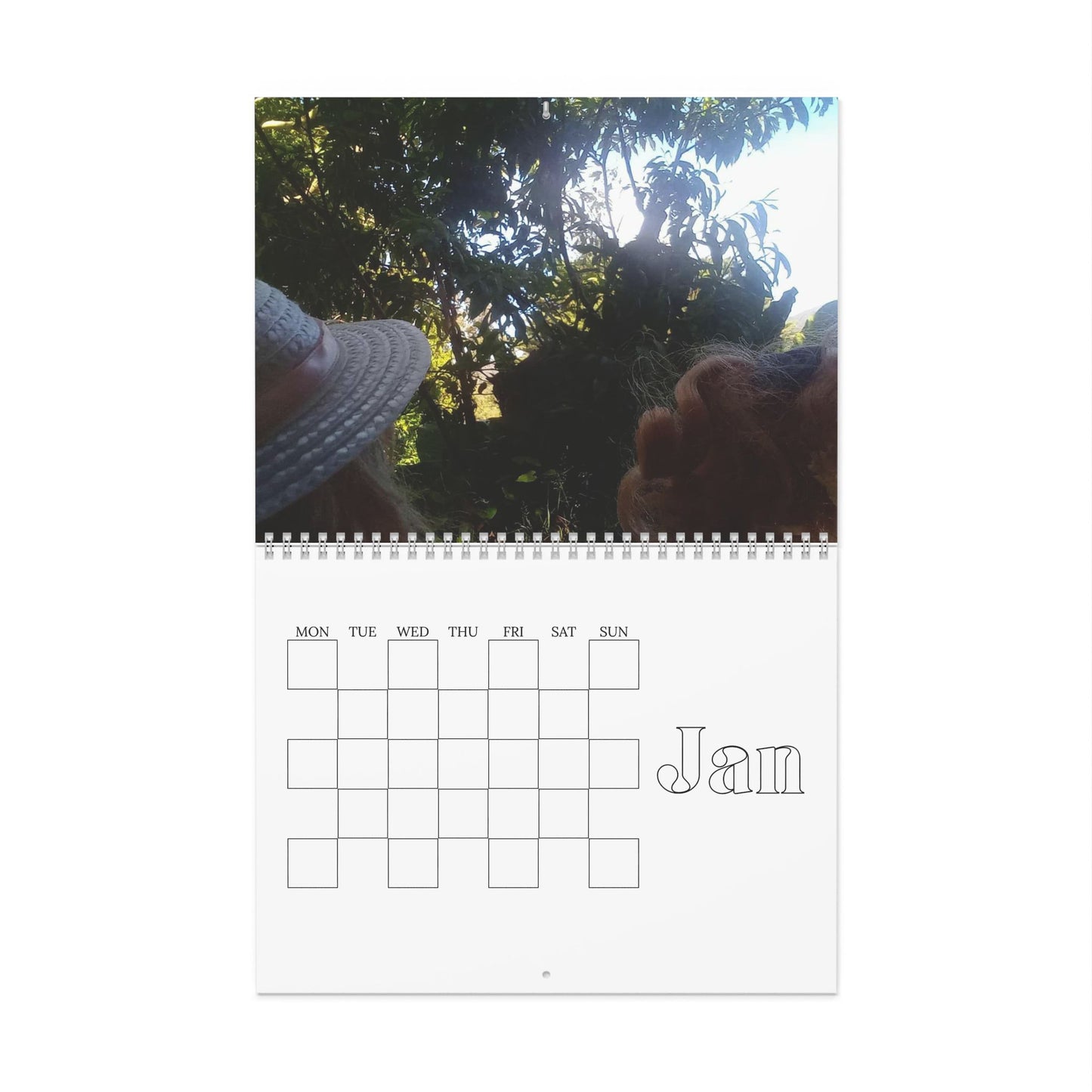 The Outside World, Wall Calendars for 2025