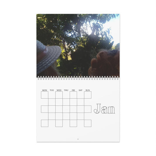 The Outside World, Wall Calendars for 2025