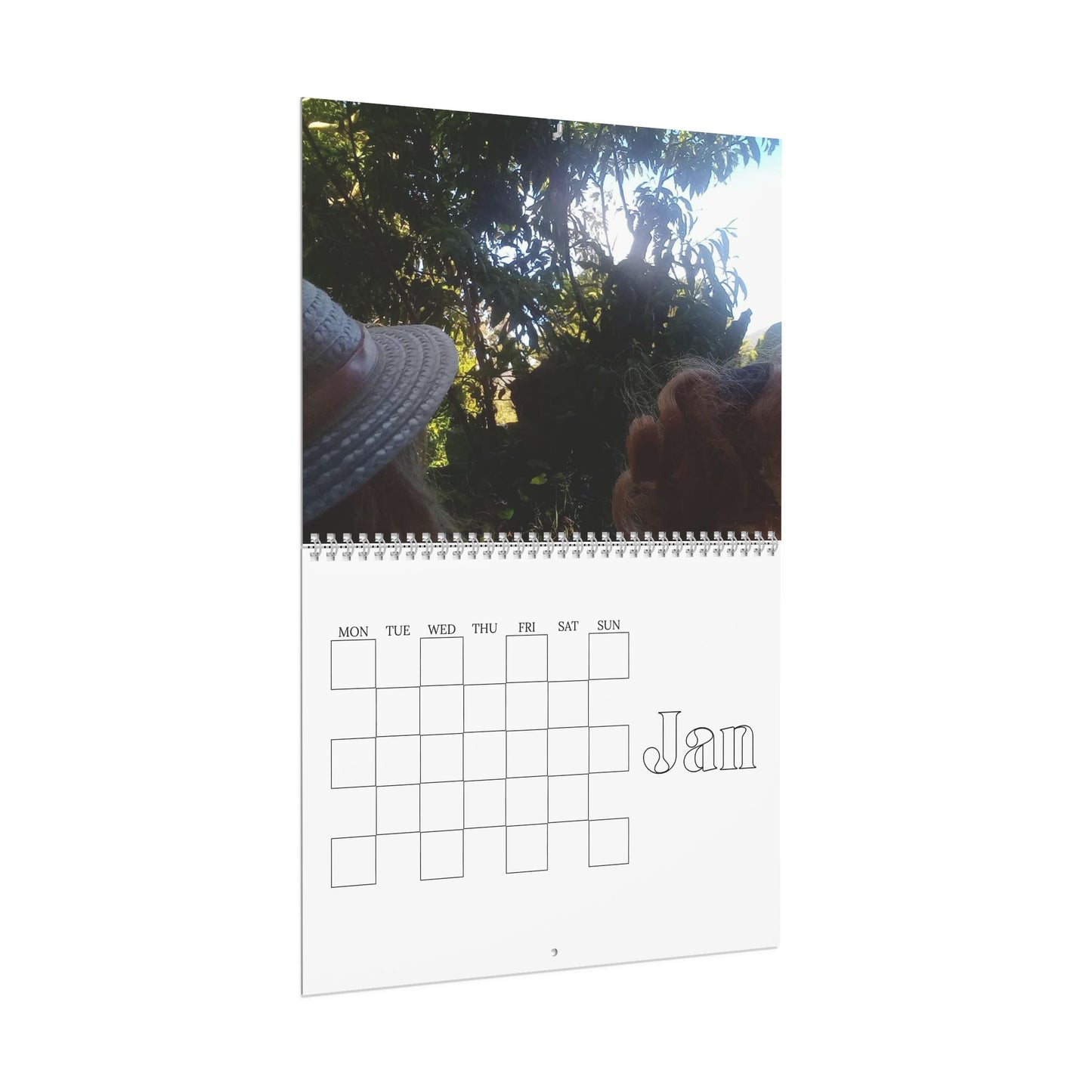The Outside World, Wall Calendars for 2025