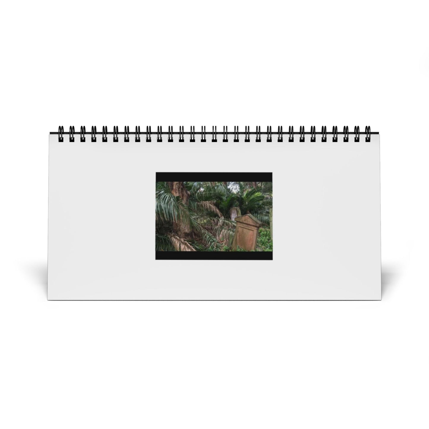 2026 Desktop Calendar with Nature Photography
