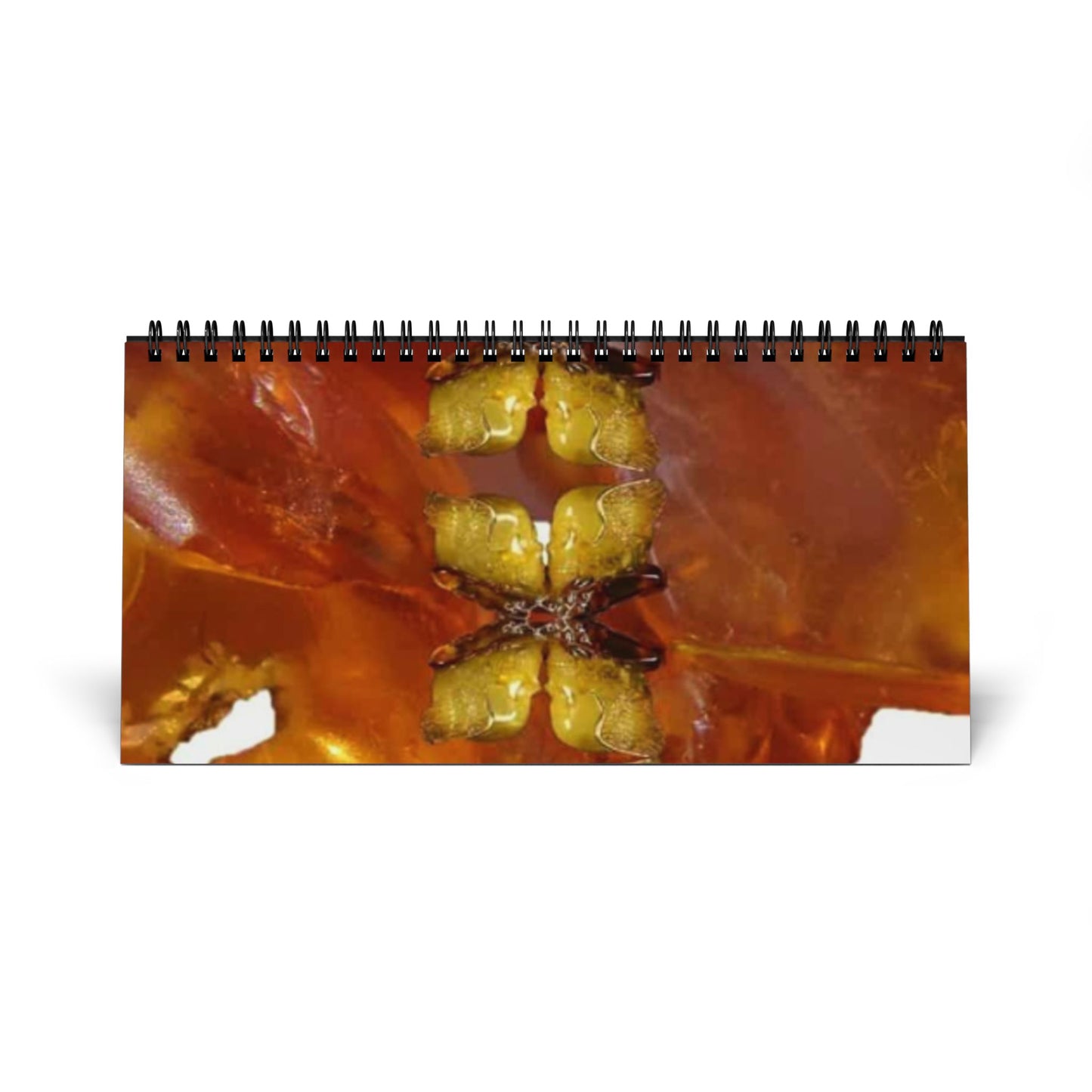 Artistic Desktop Calendar 2026 - Nature and Heart Designs